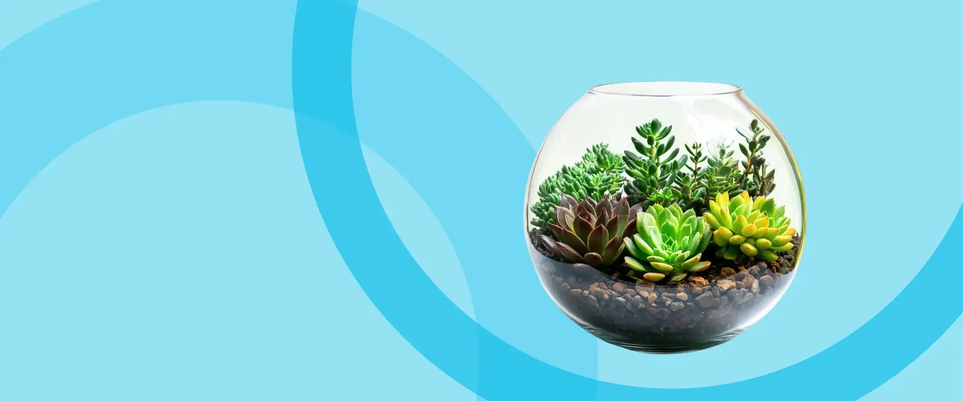 Terrarium New Assets